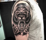 632_markus_bg