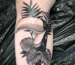646_markus_bg