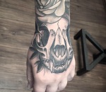 669_markus_bg