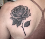 720_markus_bg