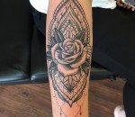 741_rose