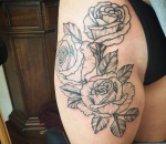 753_roses