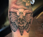 756_skull-butterfly