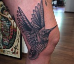 771_bird