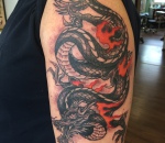 795_dragon