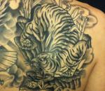 814_tiger
