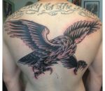 830_adler