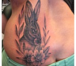 837_bunnyhase