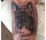841_hundeportrait
