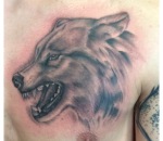 886_wolfhead