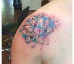953_lotus-coloursplash