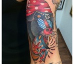 956_mandrill