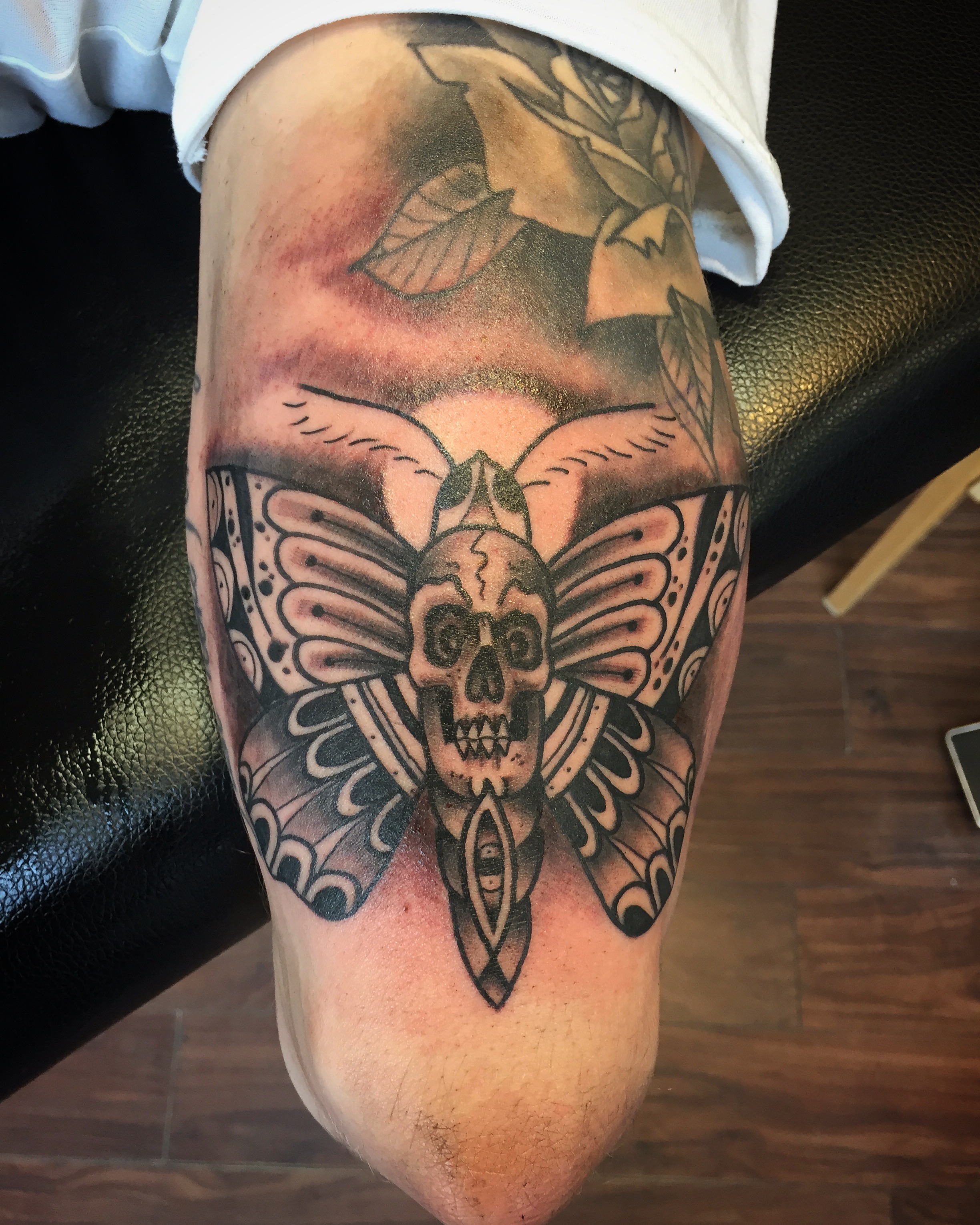 756_skull-butterfly