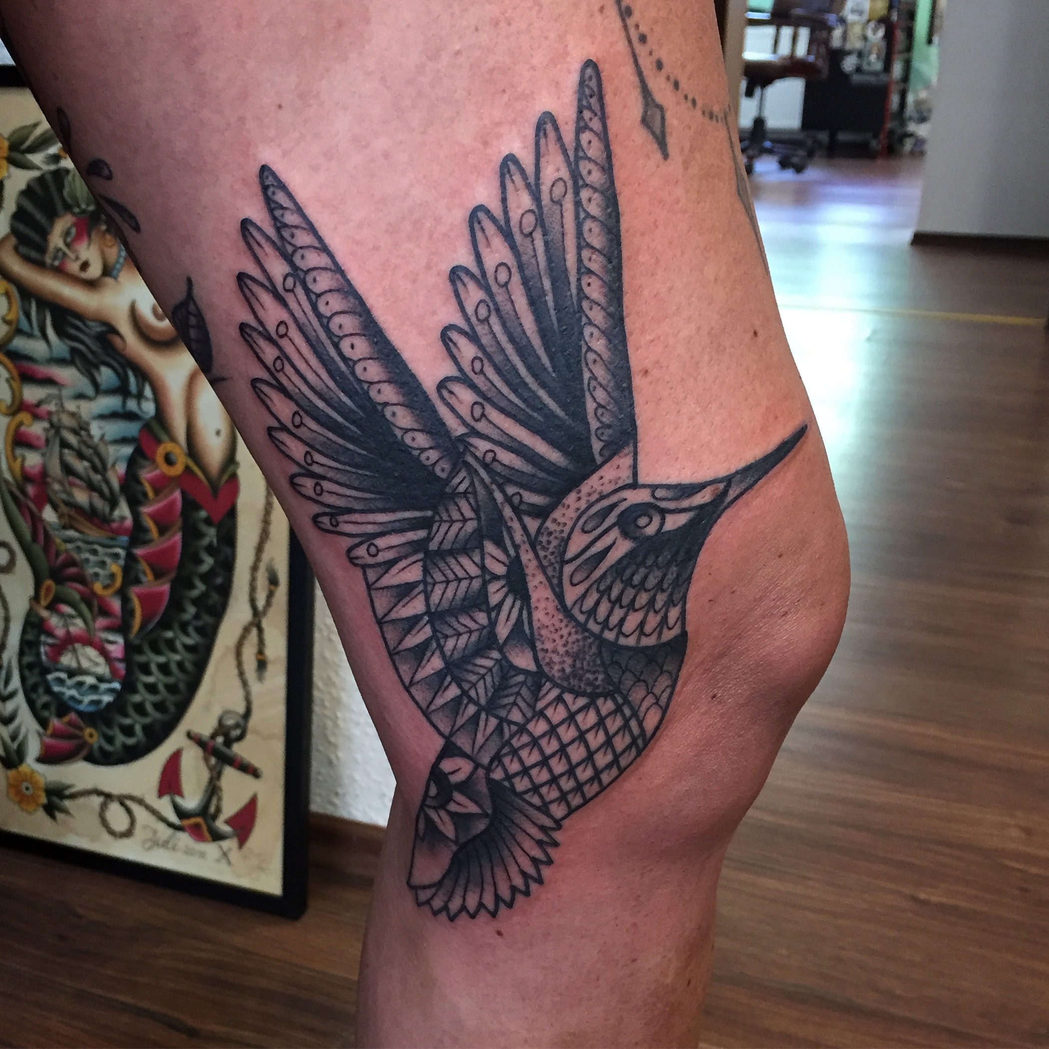 771_bird