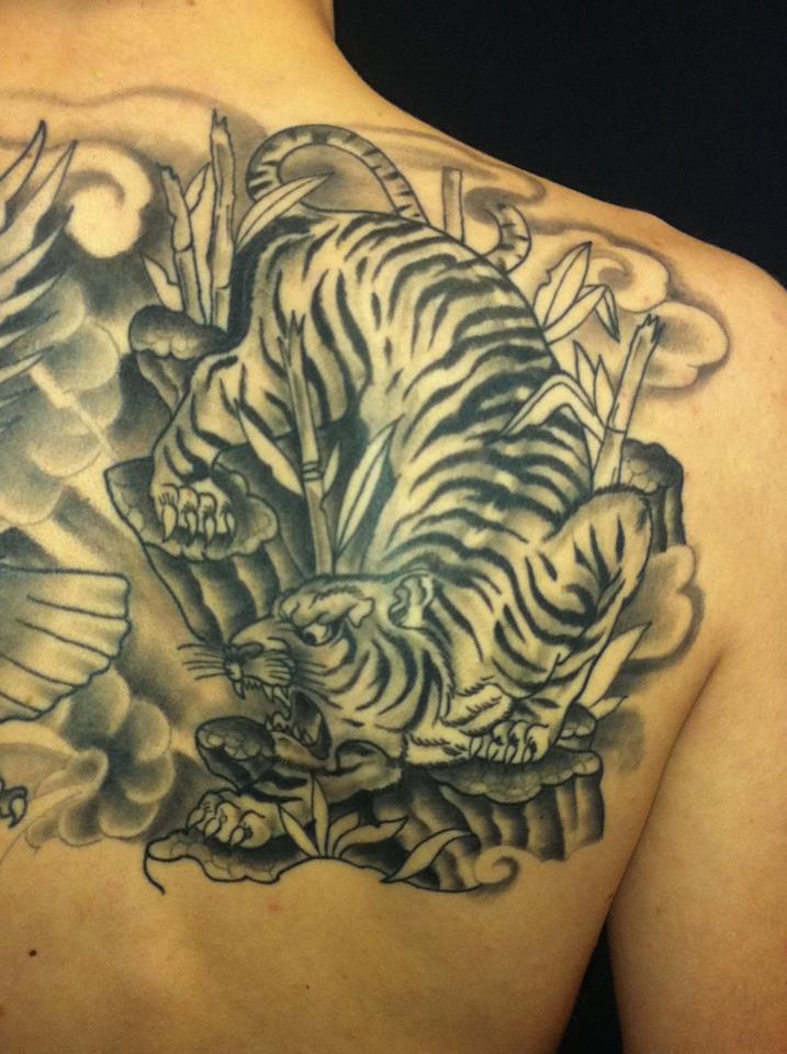 814_tiger