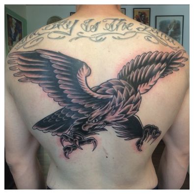 830_adler