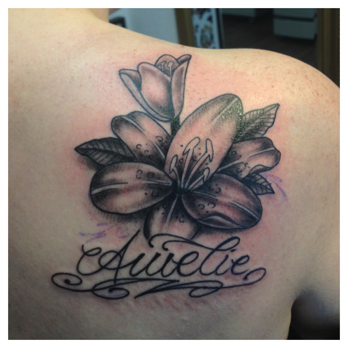 832_blume
