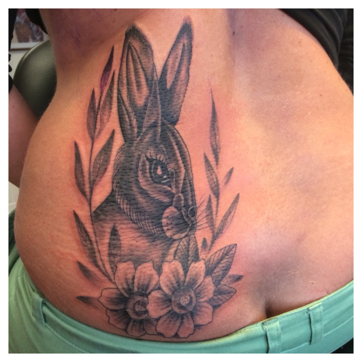 837_bunnyhase