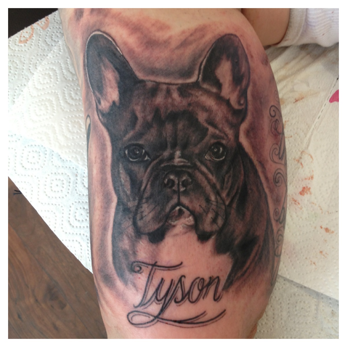 841_hundeportrait