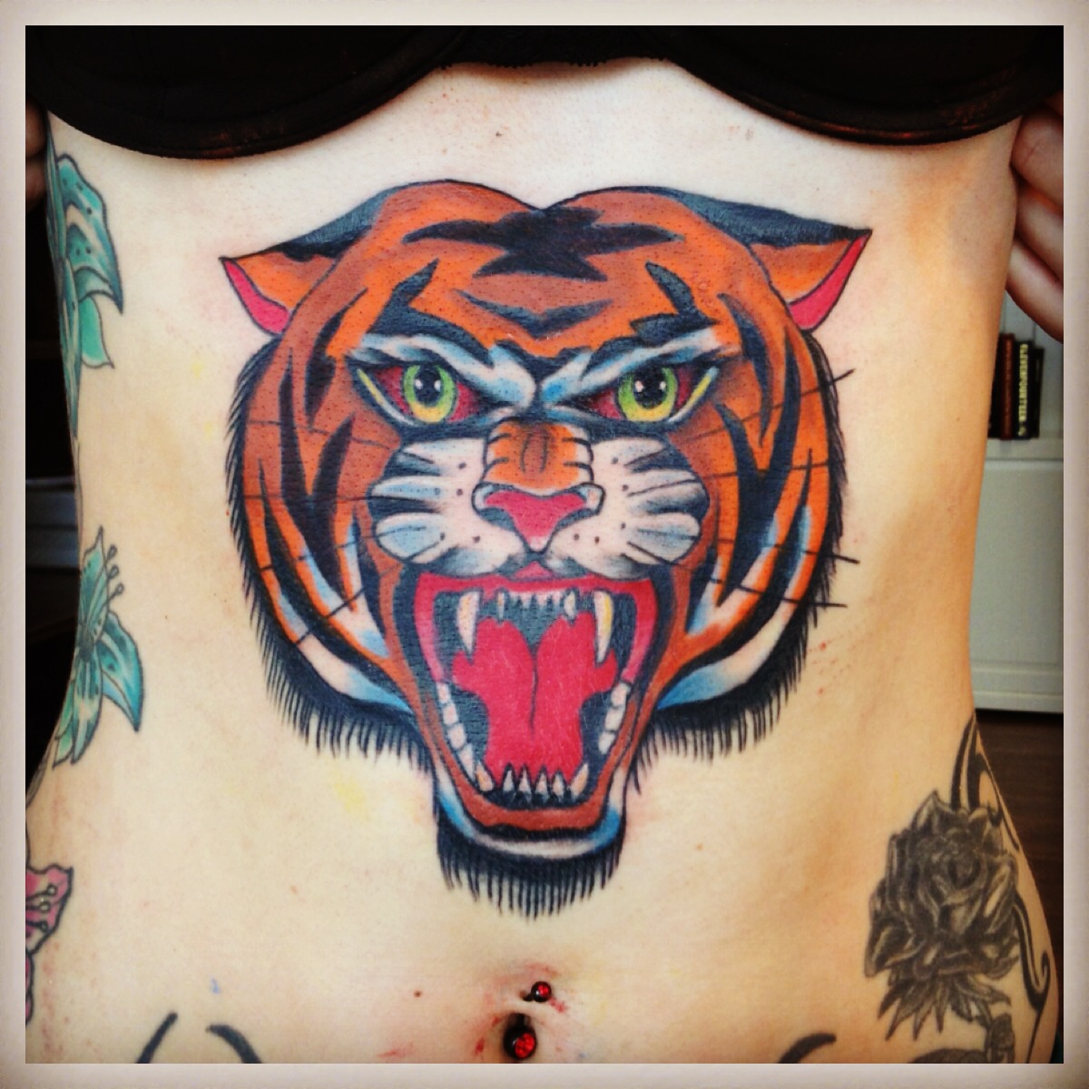 987_tiger