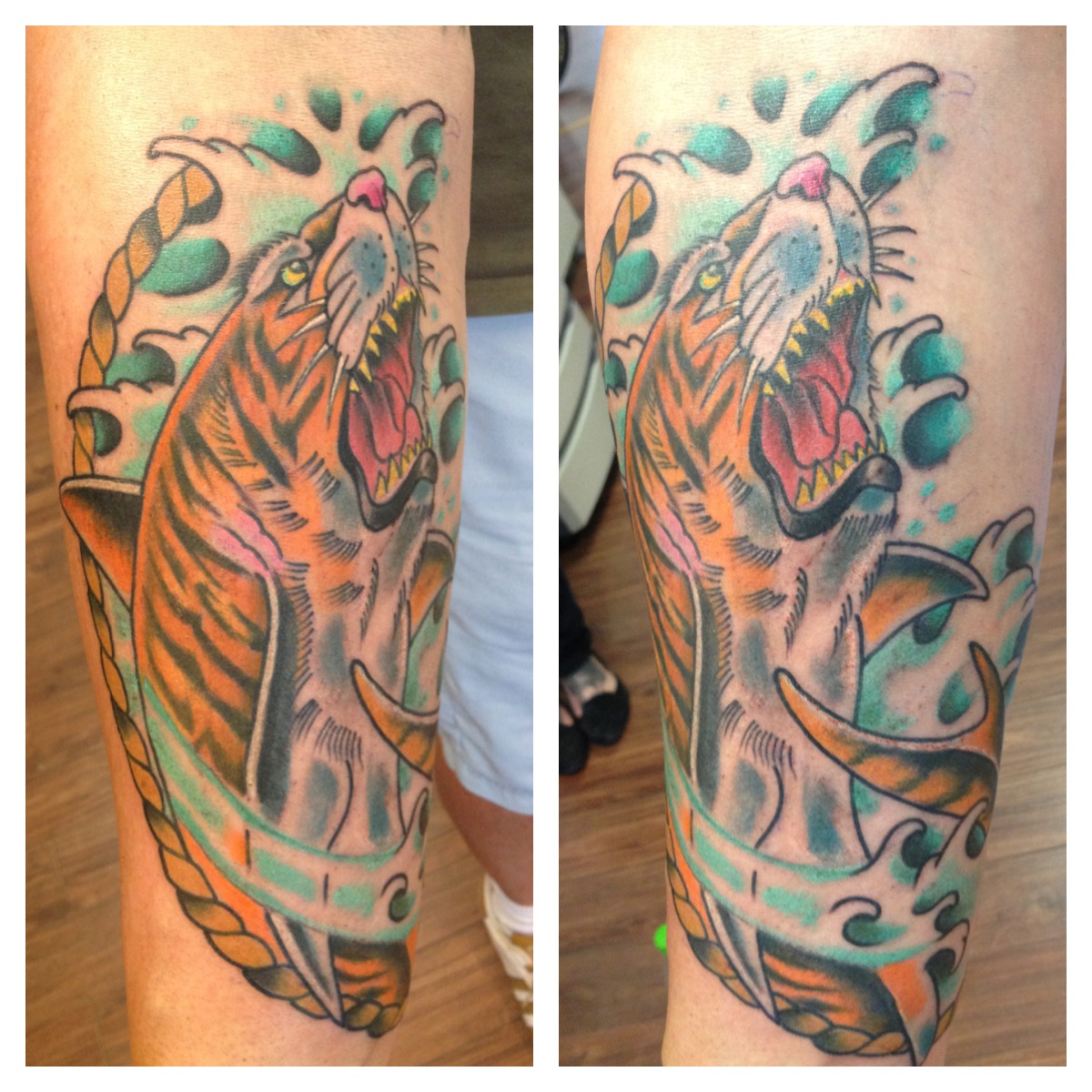 988_tigerhai